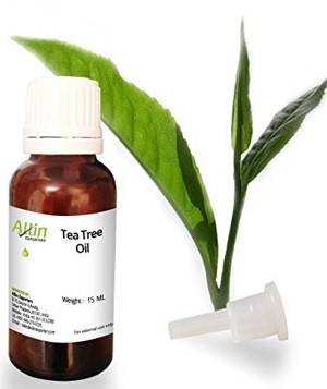 Allin Exporters Tea Tree Essential Oil 15ml